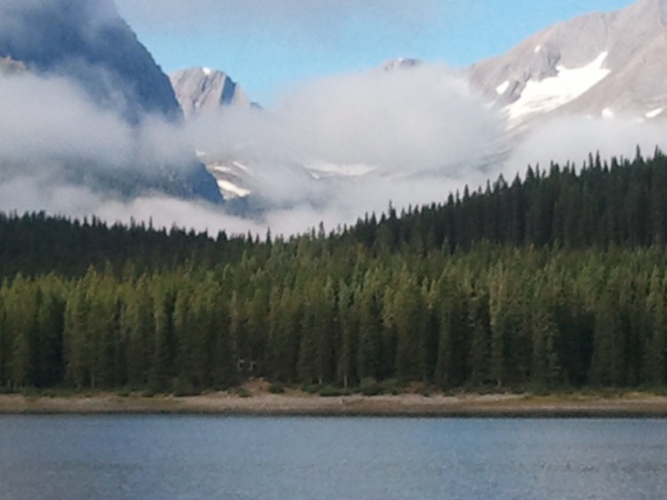 If you look long enough or work hard enough...