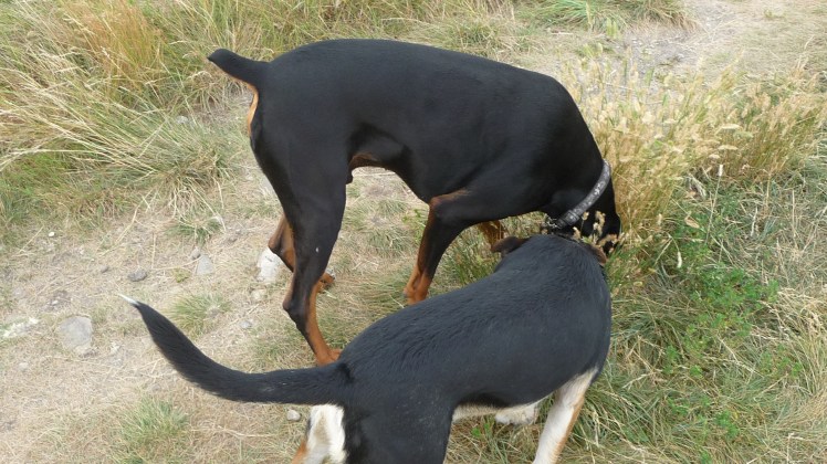 Life can be stressful man...I understand...