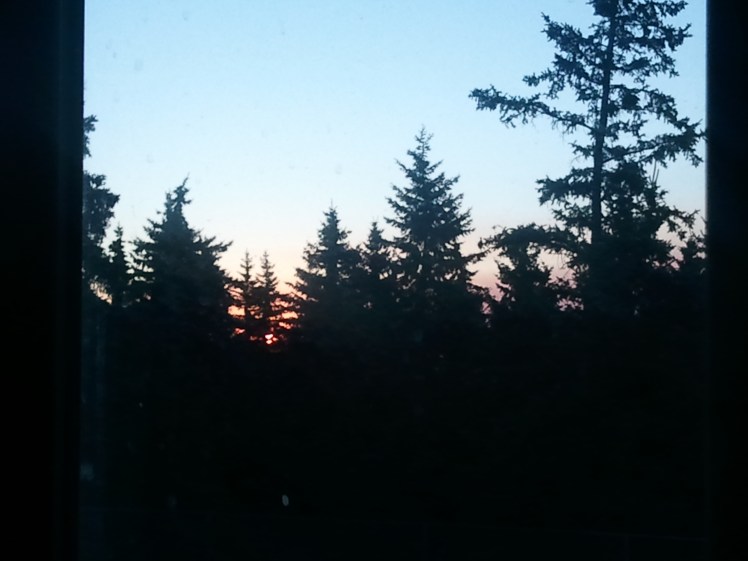 A belated Happy New Month to all...