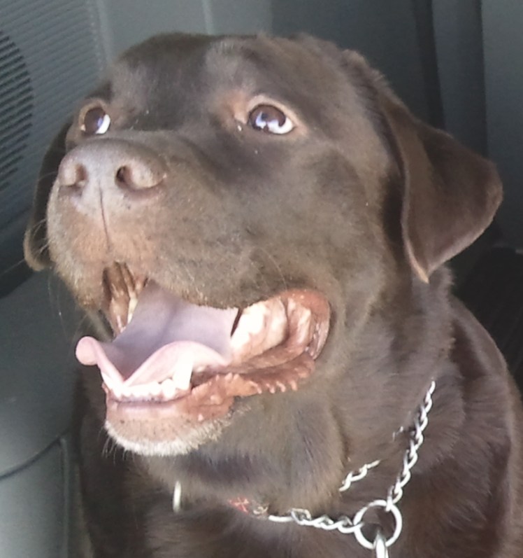 Yup...it's just one of those days......