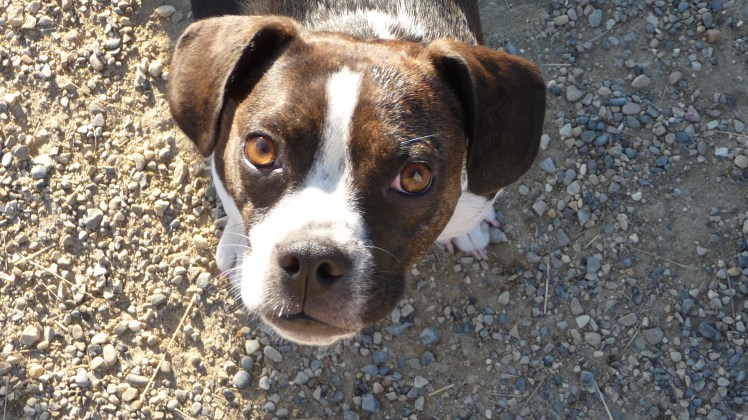 Serene George Serene George