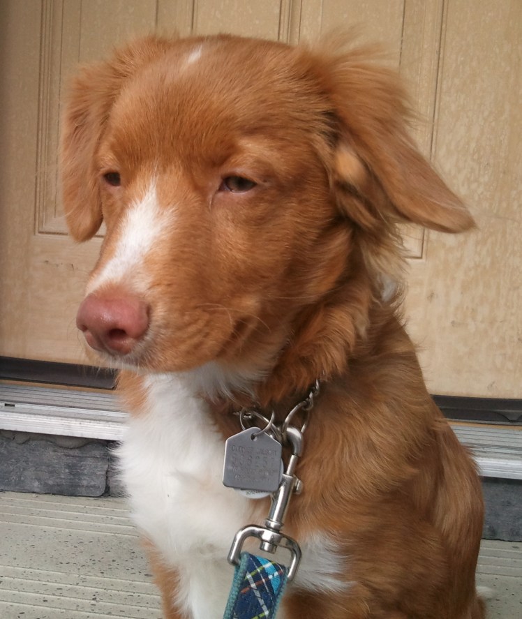 The Force is strong in this one....