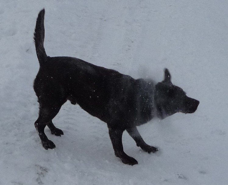 Now that's what I call localised snowfall....