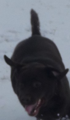 Nananananananananananananananana Batman...!!!