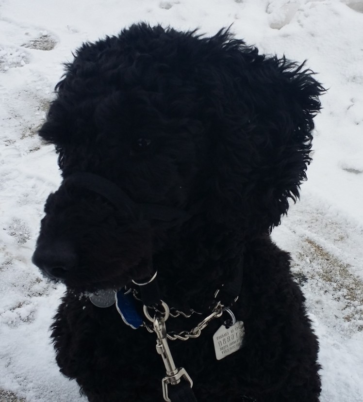 Seeing double...?  The Dark Side just got better...