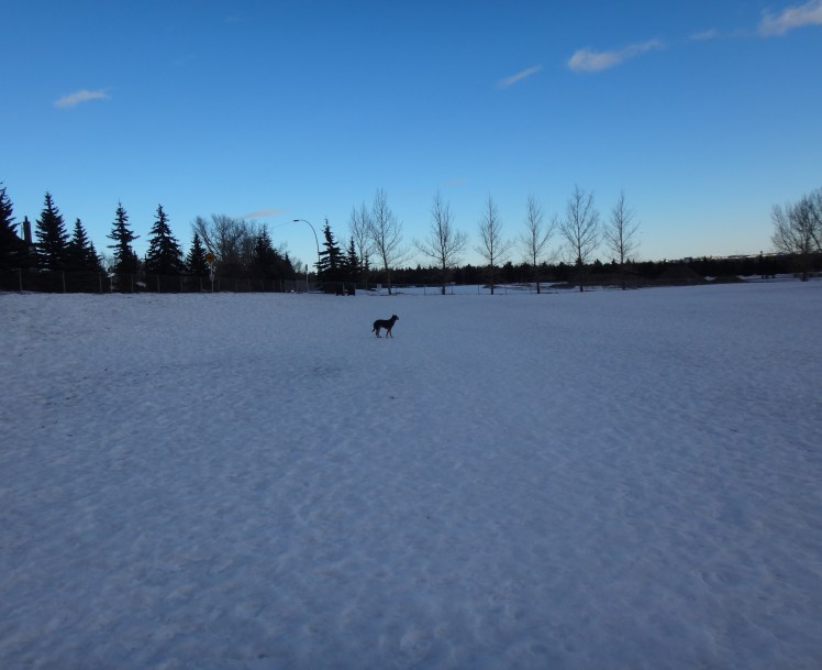 Where is everyone...?