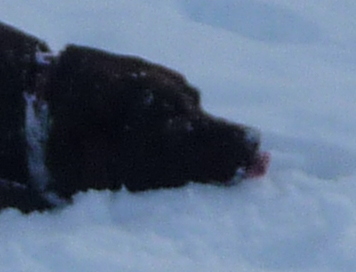 I thought it only applied to licking lamp posts...!