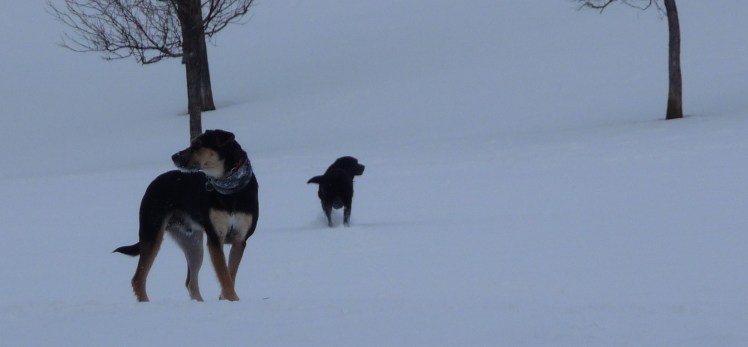 He's behind you.........