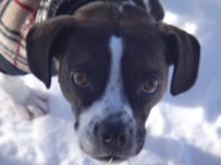 What makes you think that I've been eating grass...?