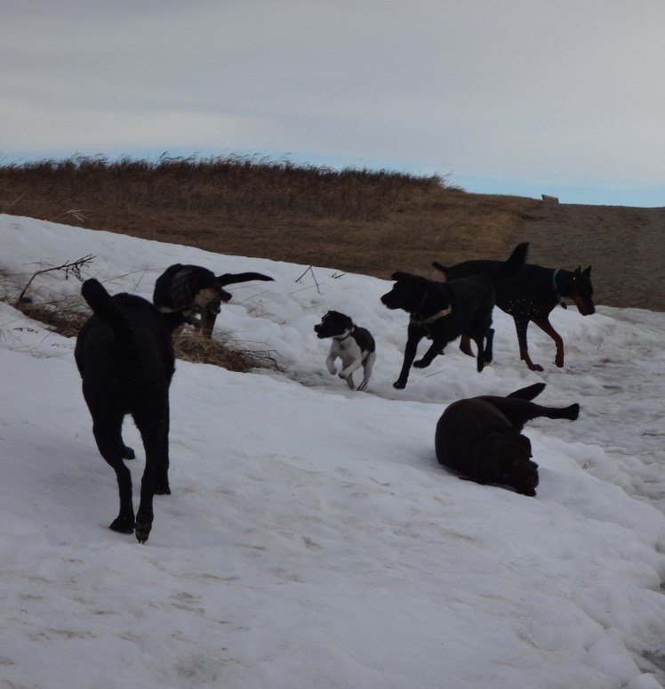 A veritable melange of mischevious mayhem...