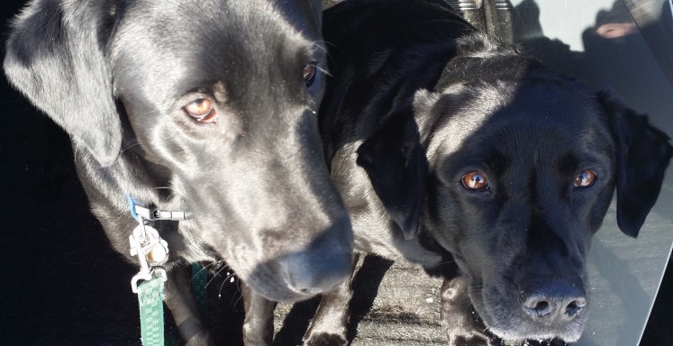 "Ruby...Kevin said that it will be nicer by the weekend....what's the weekend...?"