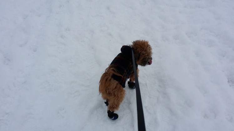 However, he did find it thirsty work...