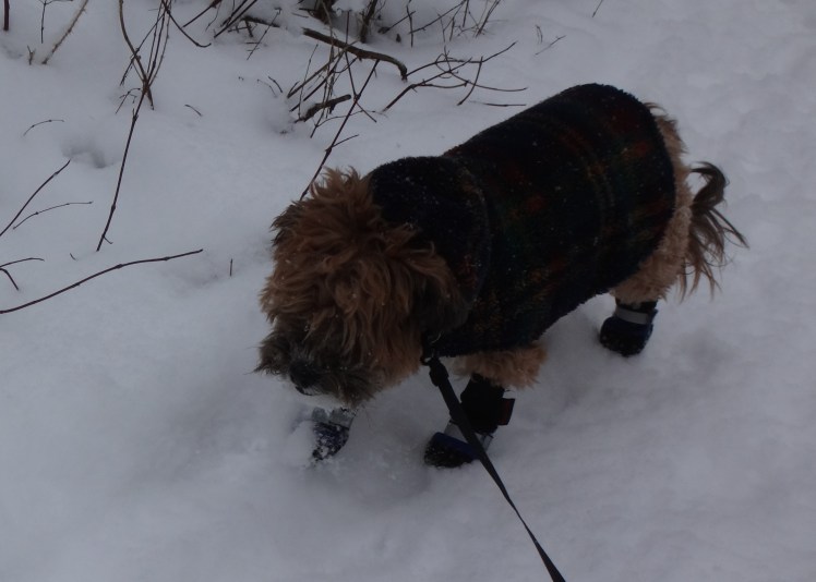 You put your head down and go for a walk of course...