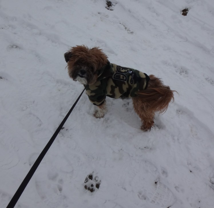 Well...it wasn't me...honest...