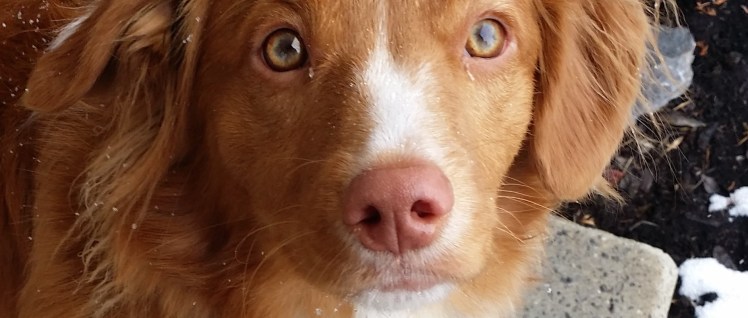 Handsome....moi....?