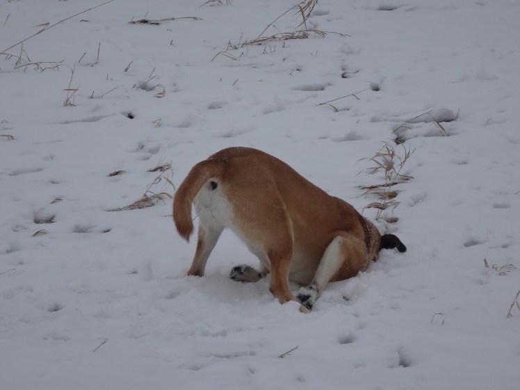 "Is this how you do it Charlie...?"