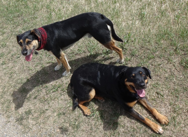 Hey Mya....my compliments to your tailor....