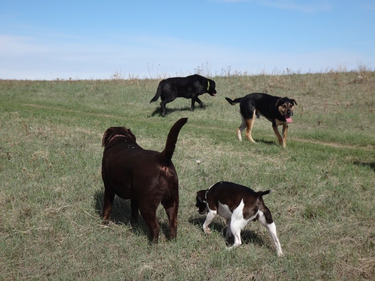 "...and Doseh-Doh your Partner Oh....."