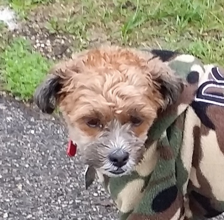 "It's called camo-chic dahlinks.....! 