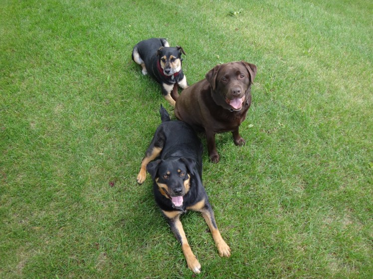 All that's needed is a cheesy voiceover.....