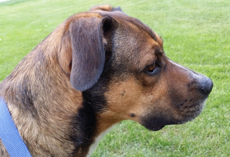 Jasper.... a man for all seasons