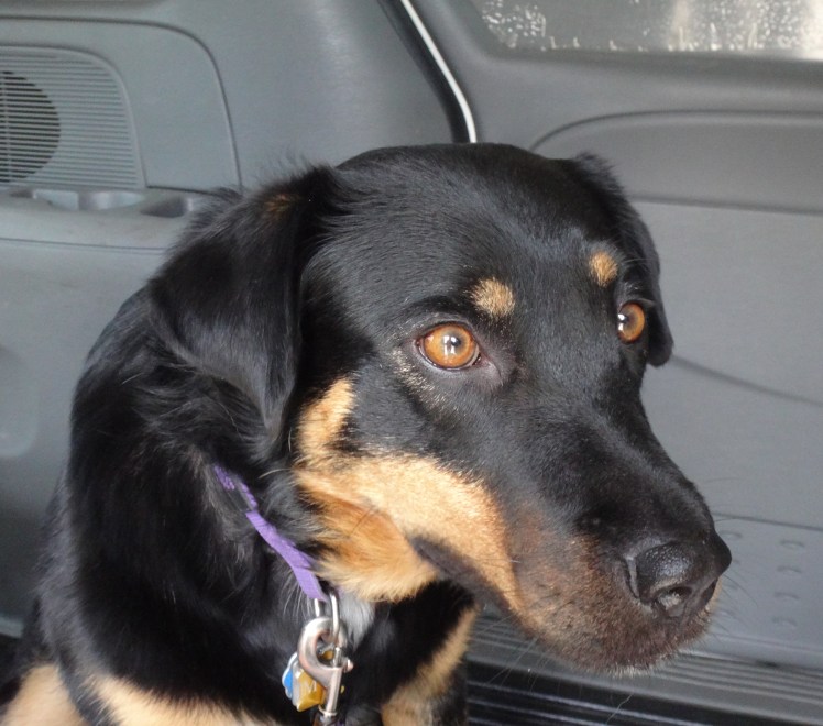 A playful and thoughtful girl