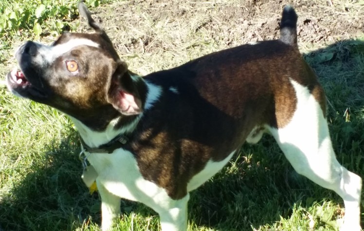 "You won't like me....."