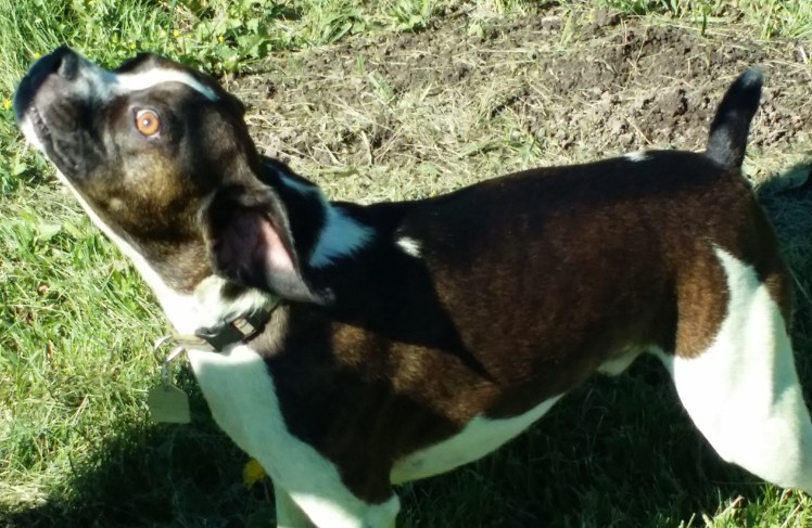 "Don't make me angry...."