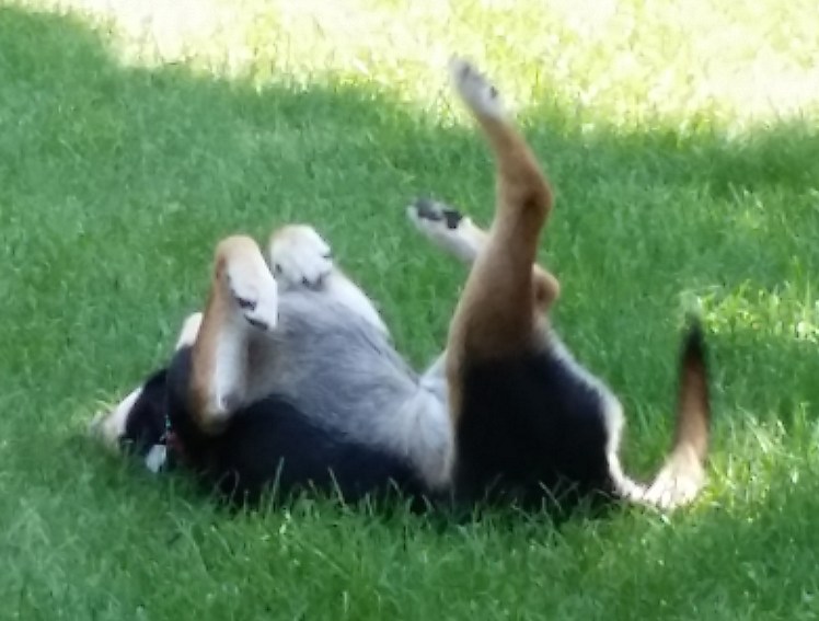 "Kick off your shoes and put your feet up..."