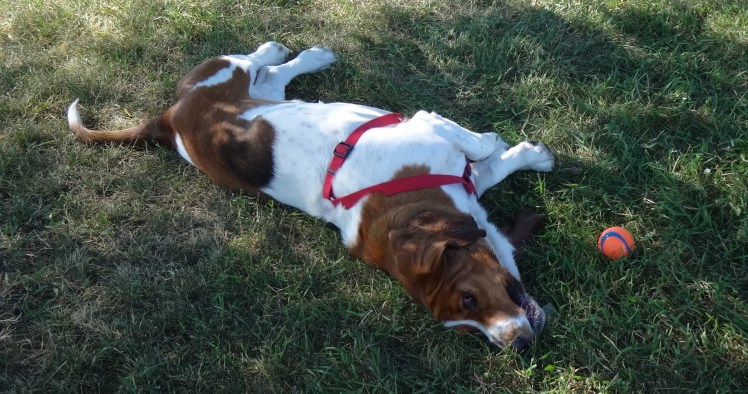 "What do you mean...?"