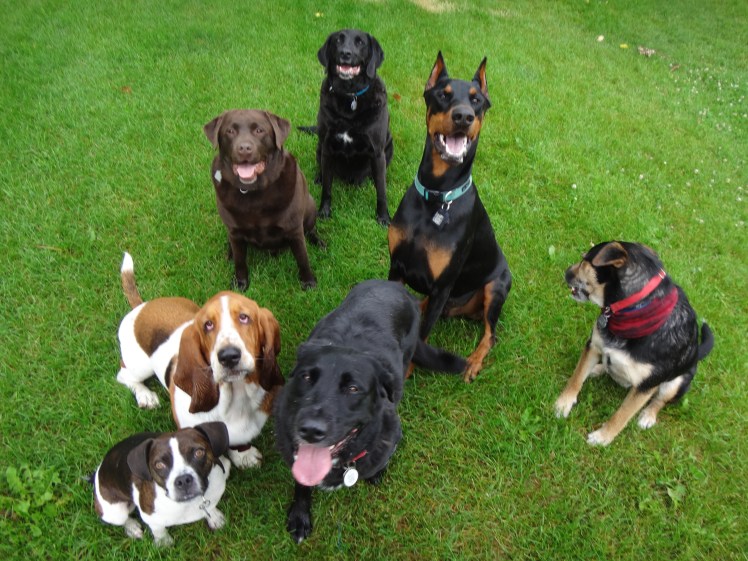 "...Say Cheeeeeeeese...!"