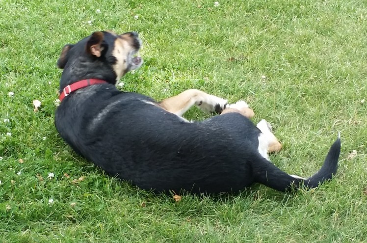 "But...perhaps it would be better if I just....."