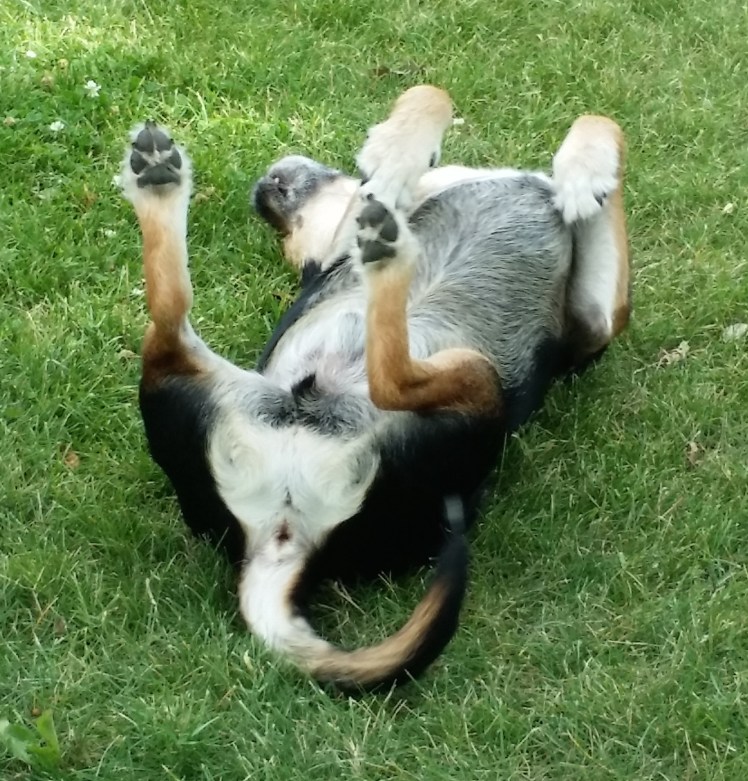 "Ahhhh....perfect...!!!!"