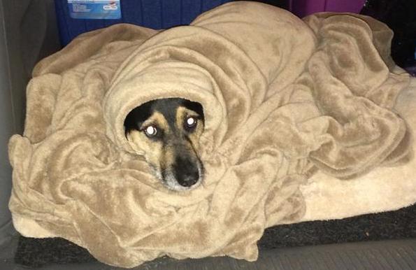 " I could be the new Jabba...I'm sure I could...!"