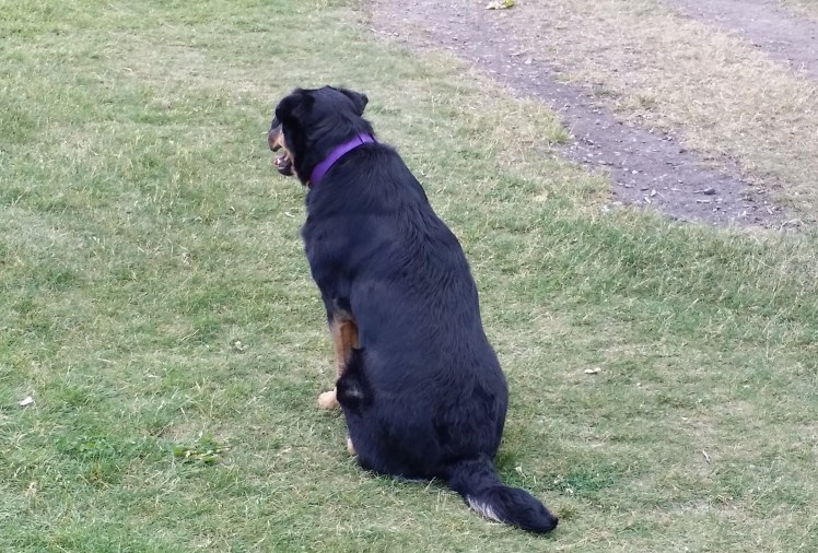 Mya staring whistfully into space.