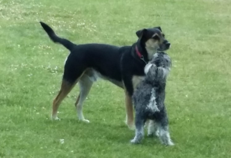 "Yes Mya...it IS a friend..."