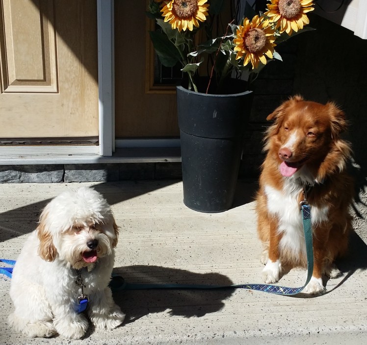"Cor blimey Levi...it's hot 'innit...!"