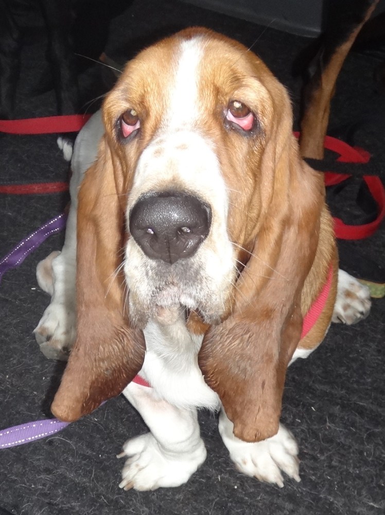 "clap along if you feel that happiness is the truth...."