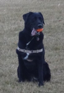 "I'm having a ball......"