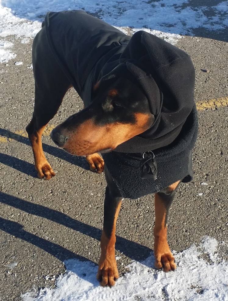 "Looking pretty good though D B Mann."