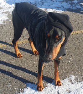 "I thought you said in A hood...!"