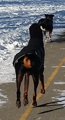 Seeing is believing....