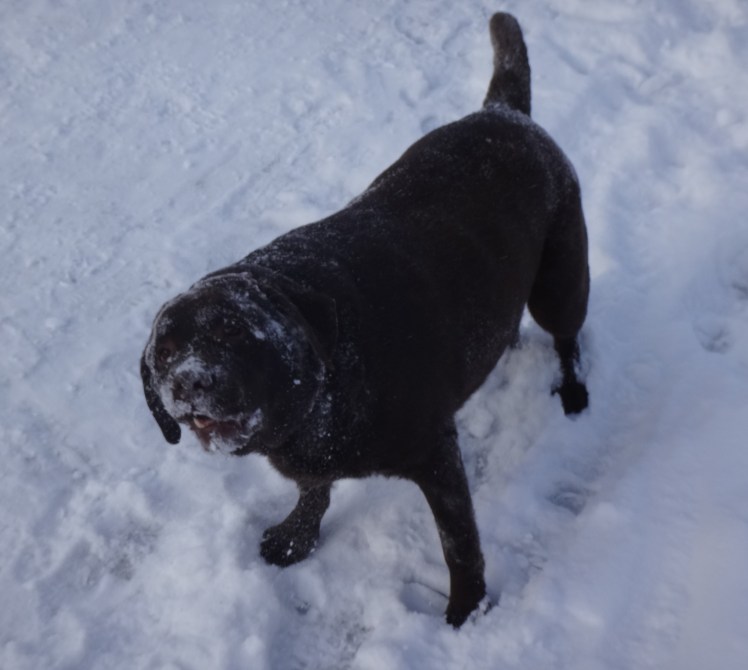 "Whadd'ya mean I have something on my nose....?