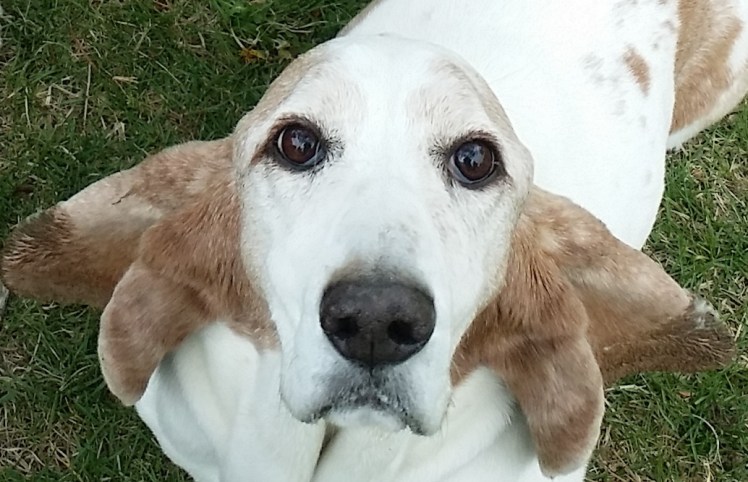 "I washed them this morning...now I can't do anything with them...!"