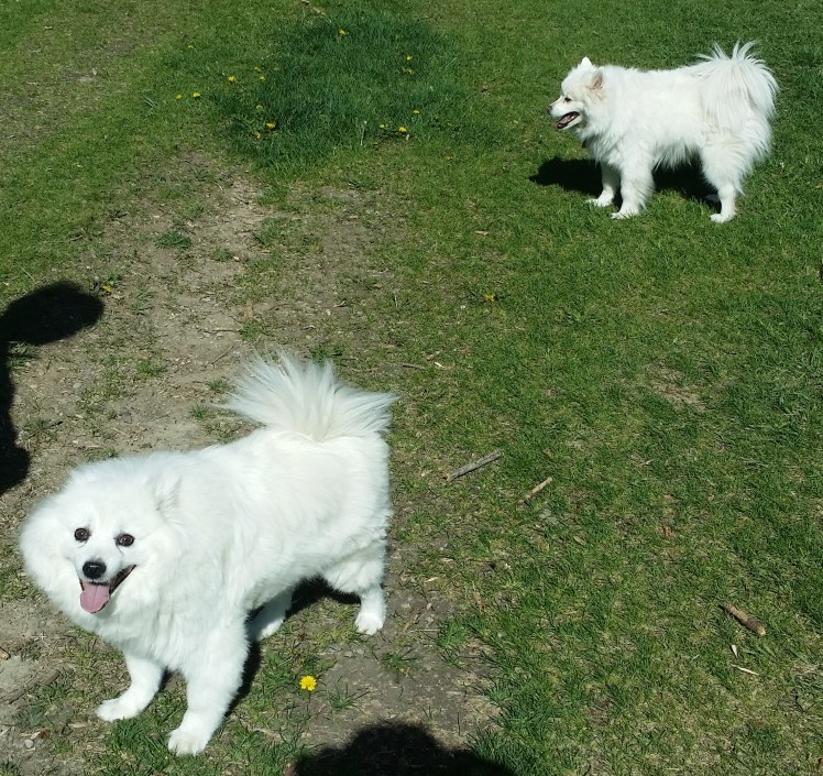 " You know... I was thinking the exact same thing...."