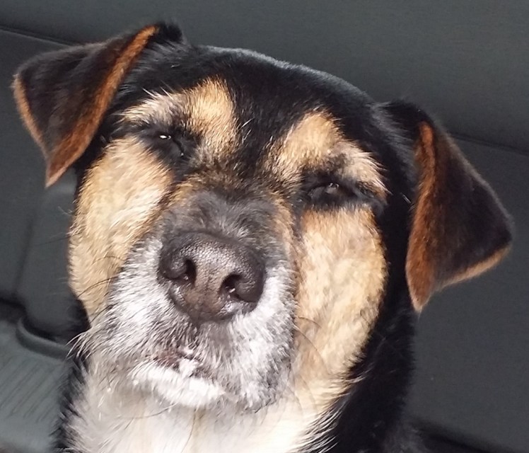 "That's not a trout pout....!"