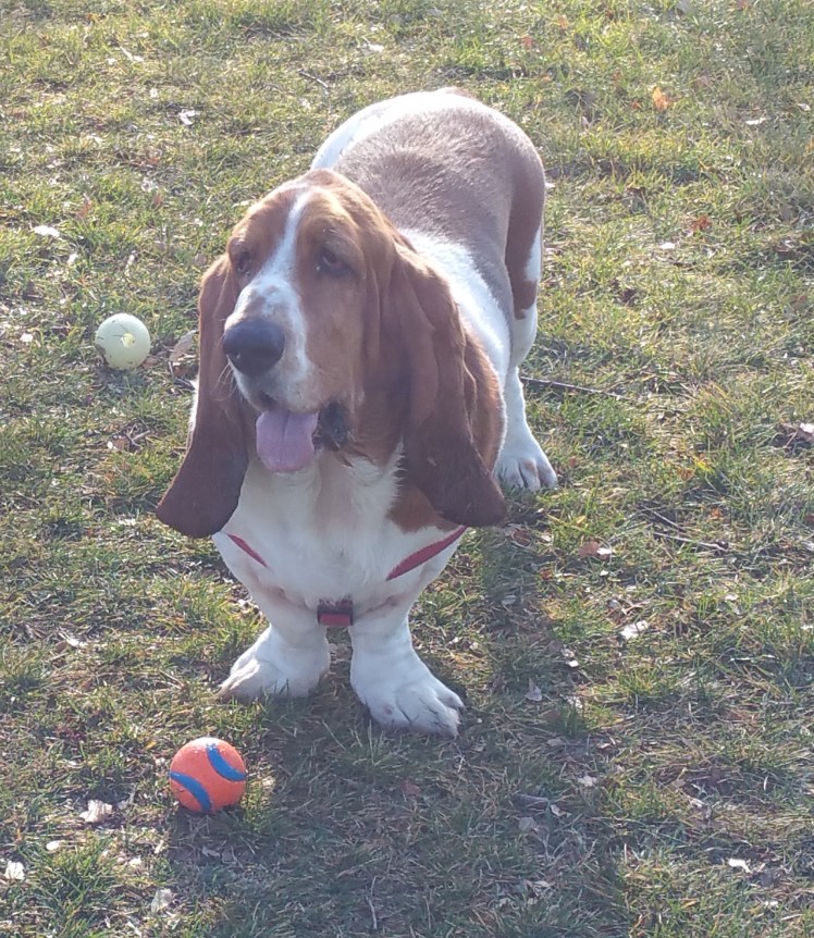 "So much choice...which one is mine...?"