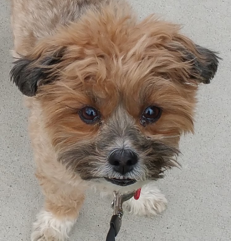 The look that says........