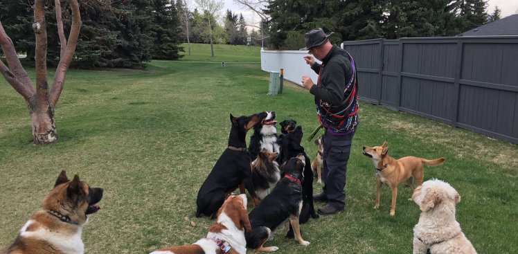 Hanging with the crew