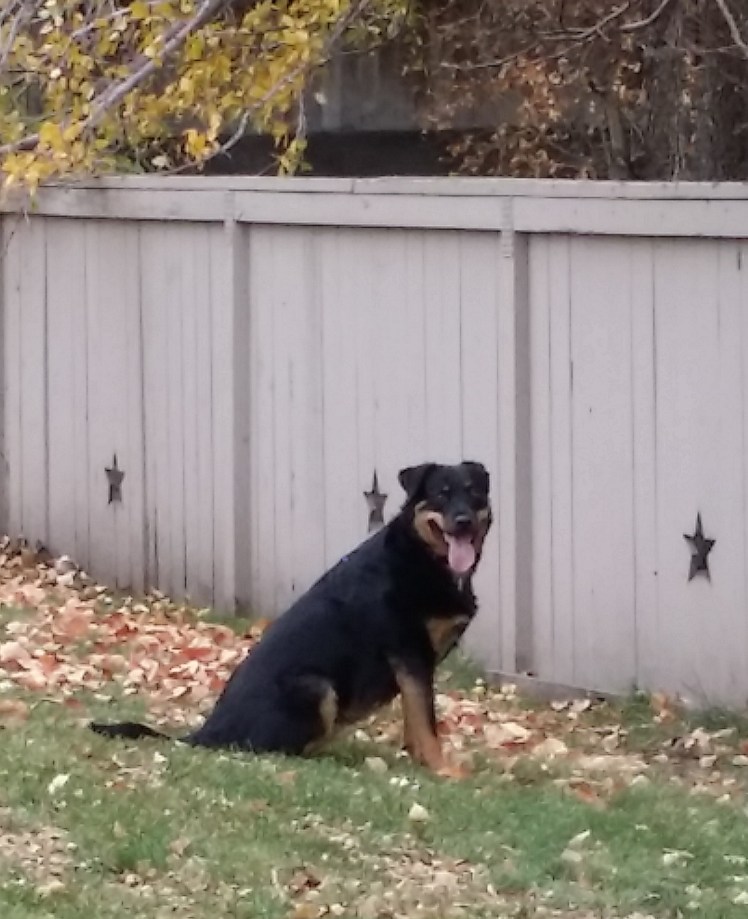 Mya the Fearless Squirrel Hunter